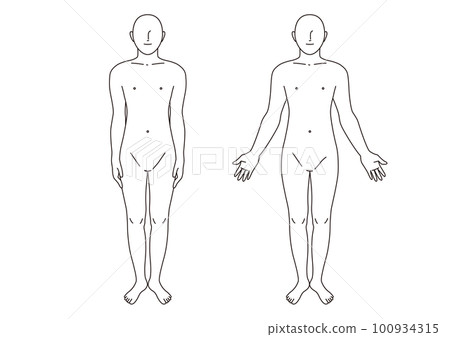 Human body division Whole body Male Anatomical posture 100934315