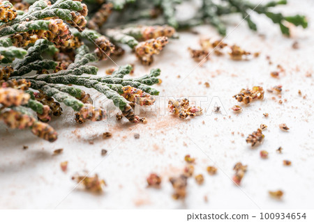 Hinoki branch and pollen Image material for hay fever Hinoki branch and pollen Image material for hay fever 100934654