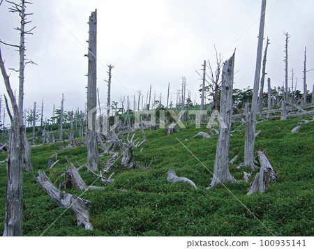 Scenery seen from the mountain trail of Odaigahara 100935141