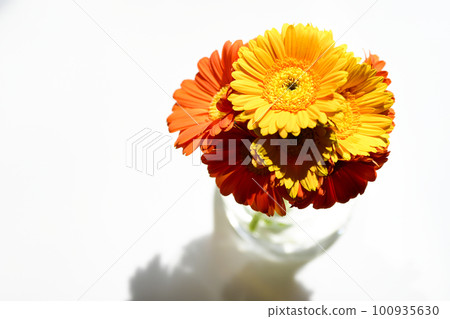 玻璃瓶中五顏六色的亮黃色和橙色非洲菊 100935630