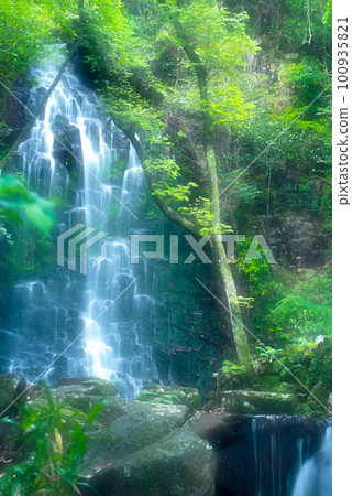 Falls in the forest 100935821