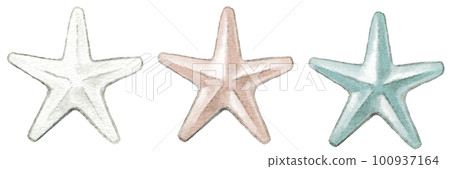 小海星彩色鉛筆素描一套 小海星彩色鉛筆素描一套 100937164
