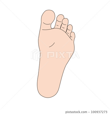 Illustration of the soles of the feet Illustration of the soles of the feet 100937273