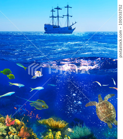 Yacht and underwater with fish and corals - colorful tropical fishes at reef at sea. Colorful coral reef with many fishes and sea turtle. 100938702
