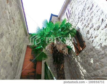 The traditional stone houses at Kotor's Old Town, Montenegro 100938731