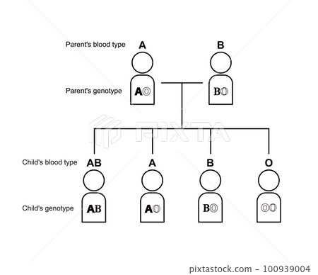 Inheritance of blood type (if parents are AO and BO) 100939004