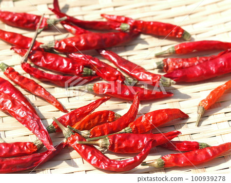Pepper seeds dried in the sun Pepper seeds dried in the sun 100939278