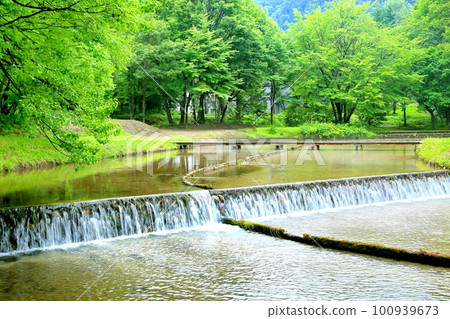 Uehara Hot Water Channel/Nurume 100939673