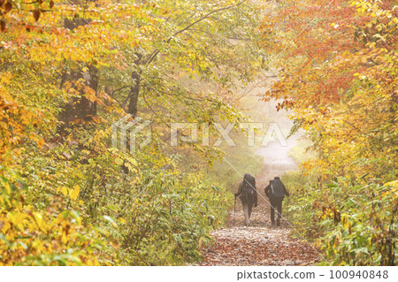 221018 Wasabi flat g125 100940848