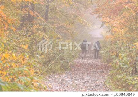 221018 Wasabi flat g120 100940849