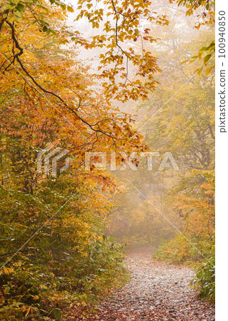 221018 Wasabi flat g118 100940850