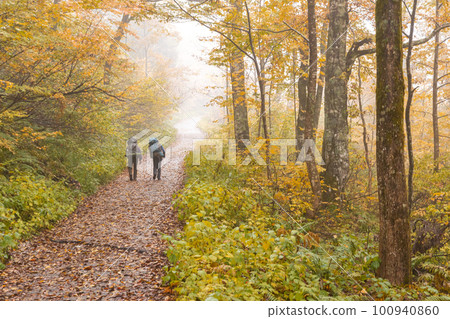 221018 芥末平 Z091 221018 芥末平 Z091 100940860