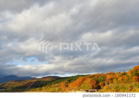 View of autumn leaves from Okura Dam (Miyagi Prefecture) View of autumn leaves from Okura Dam (Miyagi Prefecture) 100941172