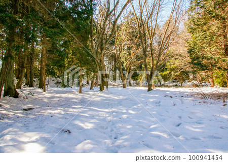 被白雪覆蓋的觀音寺城的滋賀縣黑羽遺跡 100941454