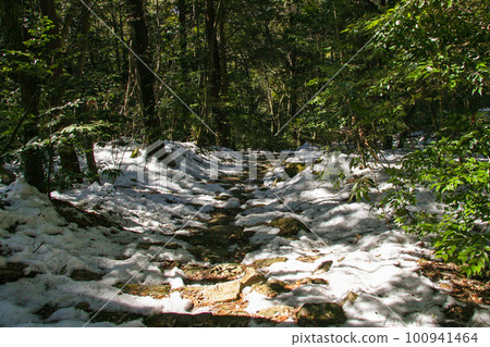 白雪覆蓋的山間小道 白雪覆蓋的山間小道 100941464