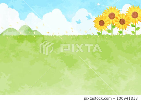 Landscape illustration of a refreshing blue sky, a sunflower field and a meadow 100941818