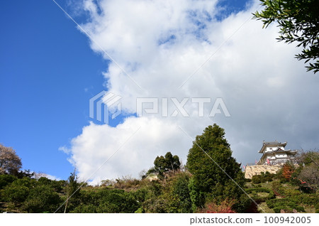 Genji Castle 100942005
