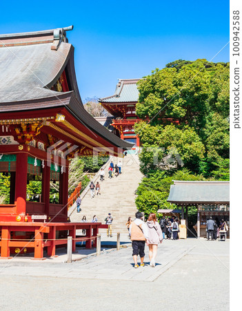 鎌倉鶴岡八幡宮 100942588