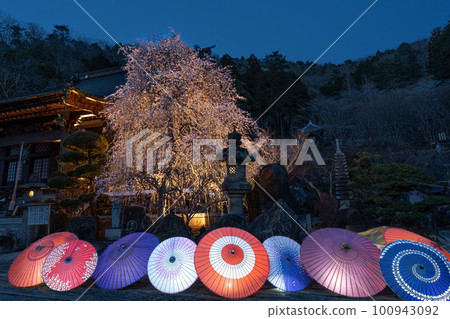 燈火通明的垂枝梅和日本雨傘 燈火通明的垂枝梅和日本雨傘 100943092