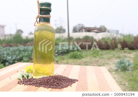 mustard oil with seed flower and money bag on farm for harvest are cash crops mustard oil with seed flower and money bag on farm for harvest are cash crops 100943194