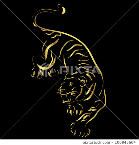Golden tiger brush stroke painting over black background 100943604