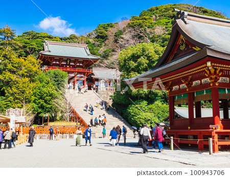 初春的鎌倉鶴岡八幡宮 100943706