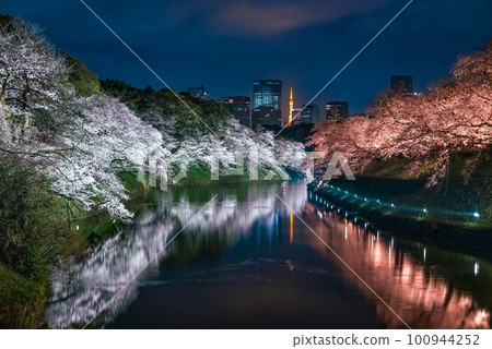 Chidorigafuchi Cherry Blossoms Illuminated 2023 Chidorigafuchi Cherry Blossoms Illuminated 2023 100944252