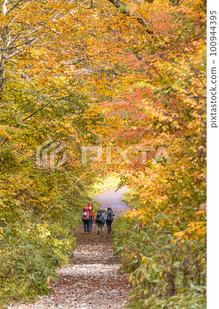 221018 芥末平 g218 100944395