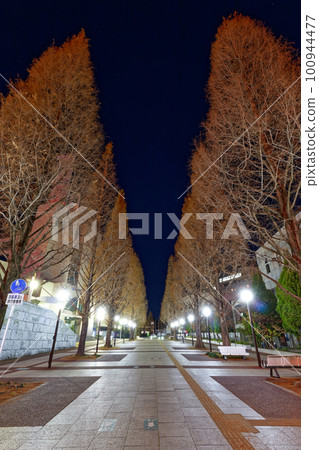 橫濱港北新城的夜景 100944477