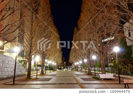 Night view of Kohoku New Town, Yokohama 100944479