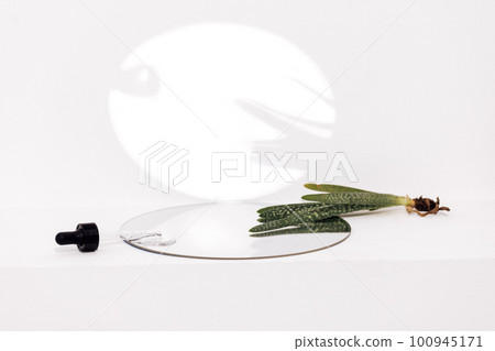 Close up of gel or serum glass pipette with transparent drops and aloe plant on mirror on white background. Close up of gel or serum glass pipette with transparent drops and aloe plant on mirror on white background. 100945171