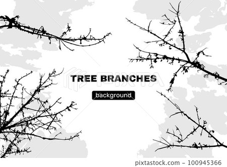Line tree branch, leaf silhouettes. Strong and shadow vegetation art, black rural cover, forest nature wood. Autumn season nature. Leafless wood. Banner or poster template. Vector tidy line background Line tree branch, leaf silhouettes. Strong and shadow vegetation art, black rural cover, forest nature wood. Autumn season nature. Leafless wood. Banner or poster template. Vector tidy line background 100945366
