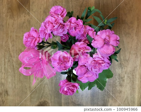 母親節禮物康乃馨盆栽 母親節禮物康乃馨盆栽 100945966