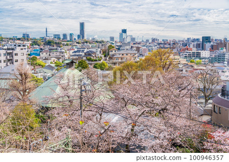 （神奈川縣）從橫濱市 Gumyoji 公園看到的橫濱市景 100946357