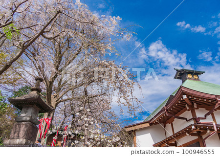 (神奈川縣)橫濱市春宮妙妙寺 (神奈川縣)橫濱市春宮妙妙寺 100946555