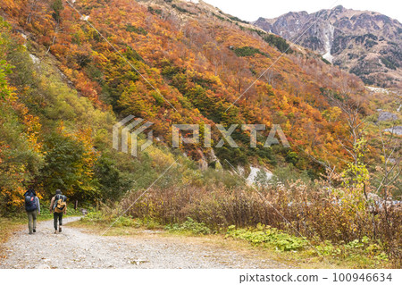 221022 芥末平 z062 100946634