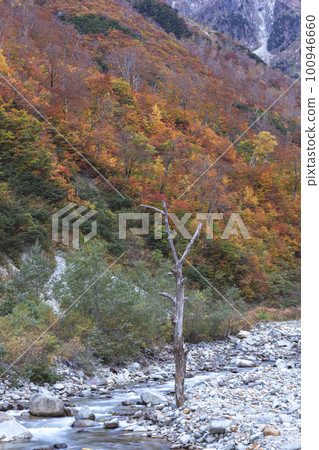 221022 wasabi flat z009 100946660