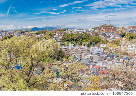 (Yokohama City, Kanagawa Prefecture) The streets of Yokohama seen from Gumyoji Park with cherry blossoms (Yokohama City, Kanagawa Prefecture) The streets of Yokohama seen from Gumyoji Park with cherry blossoms 100947506