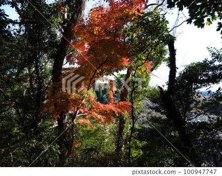 參觀本能城遺址 100947747