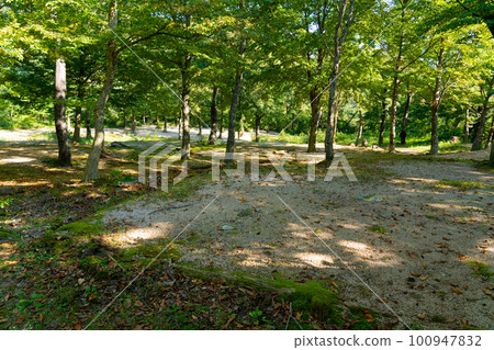秋天的早晨鳥取縣琴浦町一甲平露營地 秋天的早晨鳥取縣琴浦町一甲平露營地 100947832