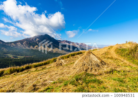 Autumn leaves of grass from Hakoishi Pass Observatory [Aso City, Kumamoto Prefecture] 100948531