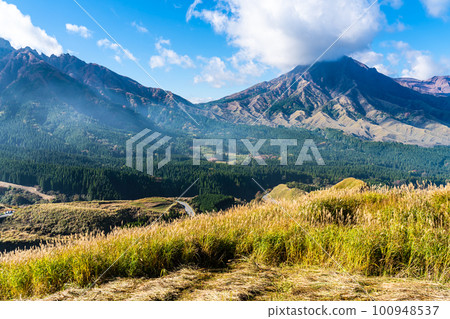 Autumn leaves of grass from Hakoishi Pass Observatory [Aso City, Kumamoto Prefecture] 100948537