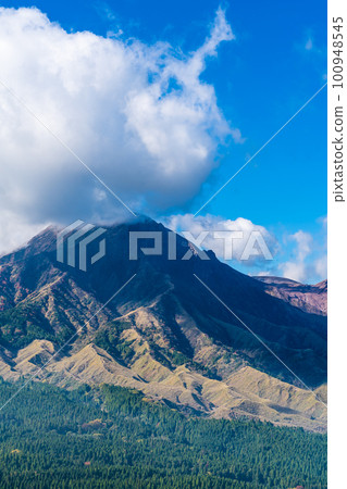 Autumn leaves of grass from Hakoishi Pass Observatory [Aso City, Kumamoto Prefecture] 100948545