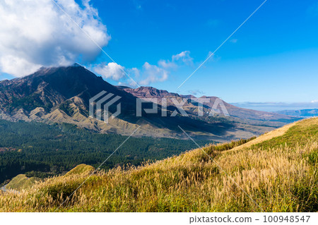 Autumn leaves of grass from Hakoishi Pass Observatory [Aso City, Kumamoto Prefecture] 100948547