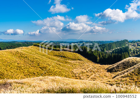 Autumn leaves of grass from Hakoishi Pass Observatory [Aso City, Kumamoto Prefecture] 100948552