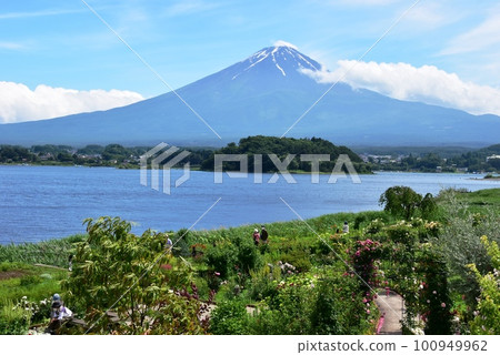 Fujikawaguchiko Town Oishi Park's Kawaguchiko Natural Living Center walking path, Mt. Fuji and flower beds Fujikawaguchiko Town Oishi Park's Kawaguchiko Natural Living Center walking path, Mt. Fuji and flower beds 100949962