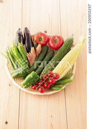 Summer vegetables gathering Summer vegetables gathering 100950297