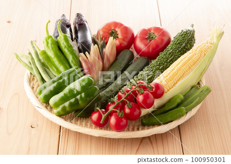 Summer vegetables gathering 100950301