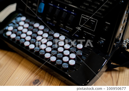 實木地板上的彩色按鈕手風琴 實木地板上的彩色按鈕手風琴 100950677