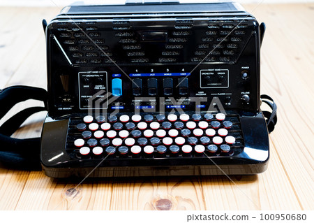 實木地板上的彩色按鈕手風琴 實木地板上的彩色按鈕手風琴 100950680